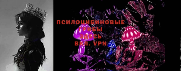 ПСИЛОЦИБИНОВЫЕ ГРИБЫ Гатчина