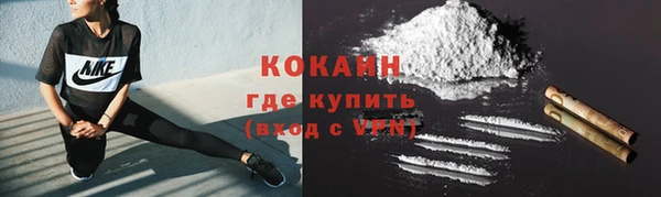 шишки Покровск