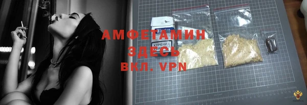 прущие грибы Приозерск