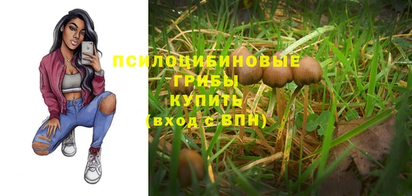 MDMA Premium VHQ Пролетарск