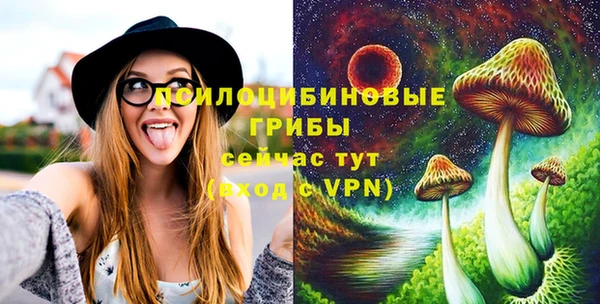 MDMA Premium VHQ Пролетарск
